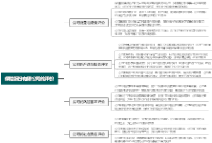 保险股份有限公司的评价