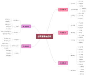 公司基本面分析