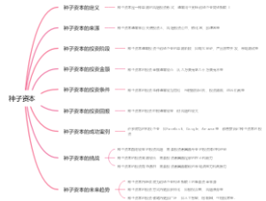 种子资本
