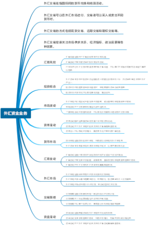 外汇资金业务