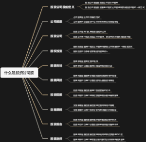 什么是投资公司股
