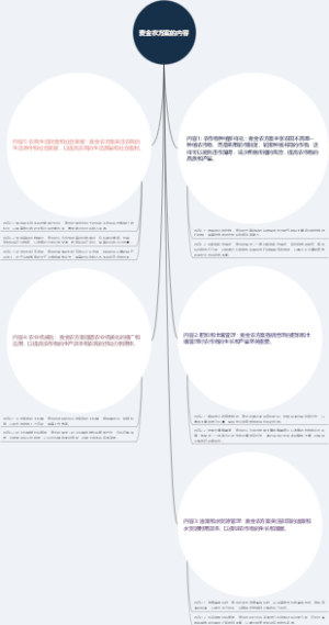 麦金农方案的内容