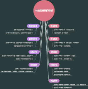 项目投资评价模板