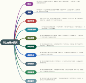 什么是种子投资