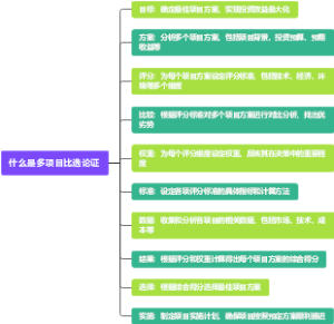 什么是多项目比选论证