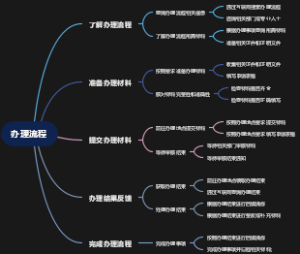 办理流程