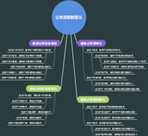 公司投资的意义