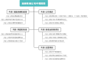 股票有限公司中期报告