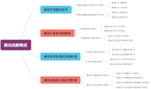 美元化的特点