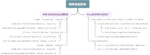 特殊目的实体