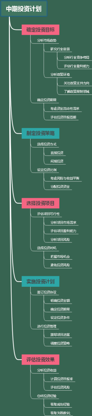 中期投资计划