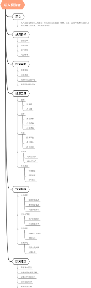私人投资者