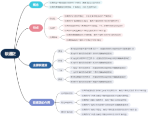 软通货