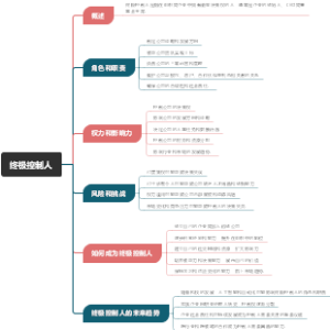 终极控制人