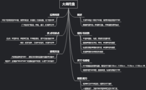 大单托盘