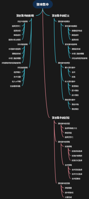 资本集中