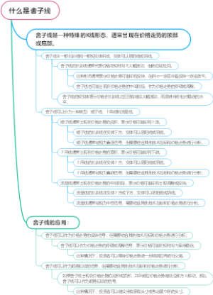 什么是舍子线