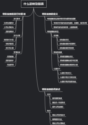 什么是特别股票