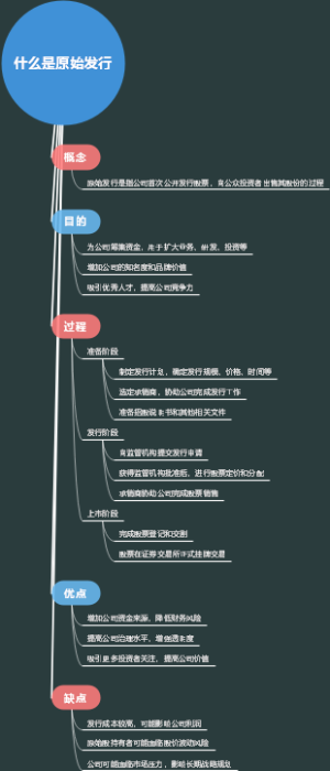 什么是原始发行