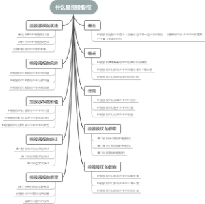 什么是控股股权