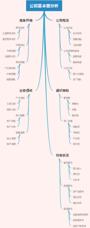 公司基本面分析