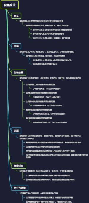 股利政策