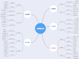 大策略内参