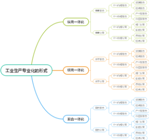 工业生产专业化的形式