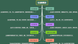 社会的概念