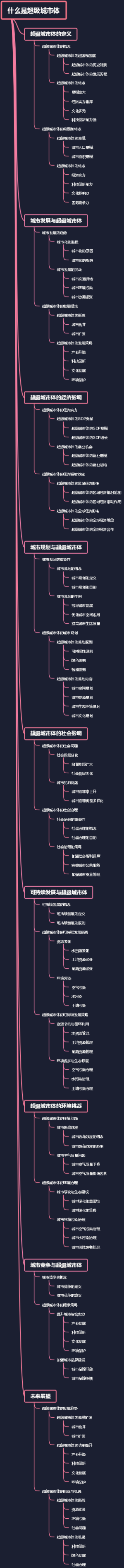 什么是超级城市体