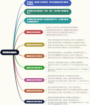 领导集体的结构