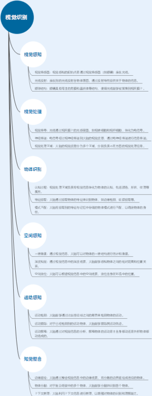 视觉识别