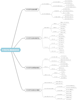 中巴经济走廊的建设问题