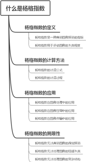 什么是杨格指数