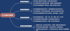 什么是职业体育