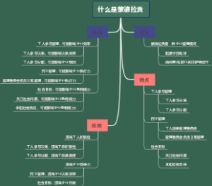 什么是蒙德拉贡