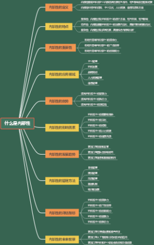 什么是内部性