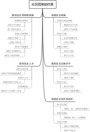 社区精英的作用