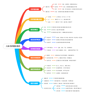 人体内环境和稳态