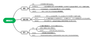 细胞组织