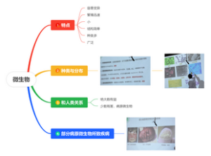病原生物学（绪论）