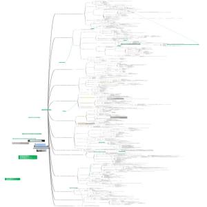 园艺生物技术思维导图