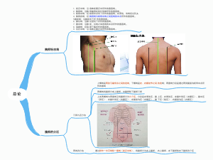 解剖学总论