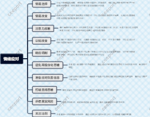 情绪应对