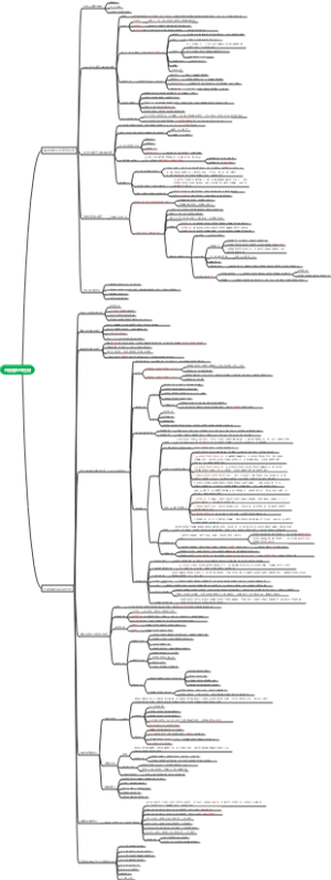 红细胞血型检测