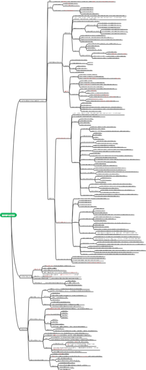 临床输血治疗技术