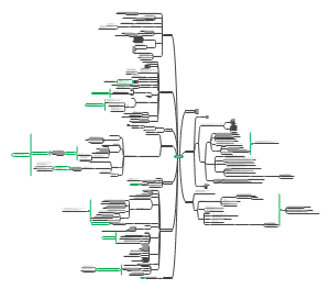 真正管孩子学习