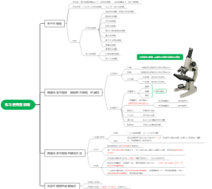练习使用显微镜