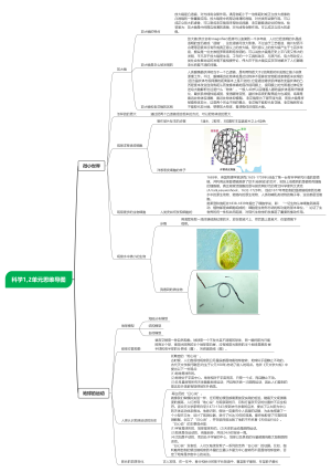 科学六上1.2单元思维导图