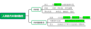 人体的内环境和稳态思维导图